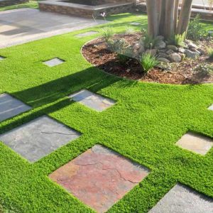 Landscaping Sydney | Landscapers Near Me | Dr.Garden