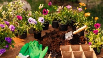 Planting With The Seasons: Tips For Year-Round Gardening